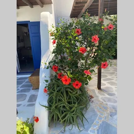 בית נופש Pigeon House Ornos *